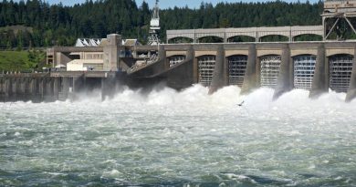 Water flows through the spillway at the Bonneville Dam.
