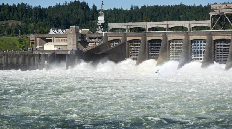 Water flows through the spillway at the Bonneville Dam.