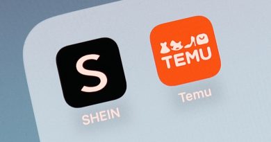 Shein and Temu icons are seen displayed on a phone screen in this illustration photo