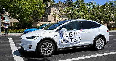 Tesla's board reportedly sought a successor while Musk wheeled around Washington