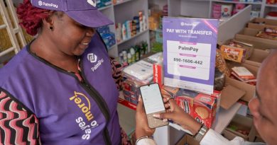 Profitable African fintech PalmPay is in talks to raise as much as $100M
